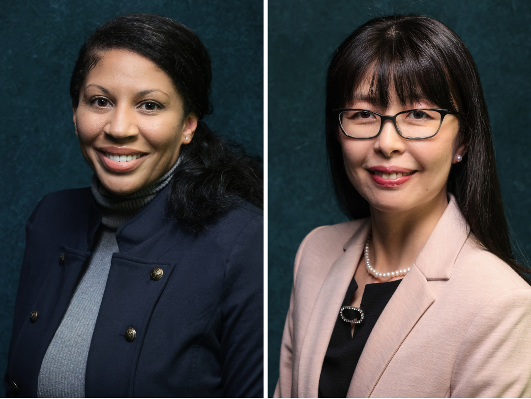 uc irvine school of nursing professors yuqing guo and dawn bounds, fellows in american academy of nursing